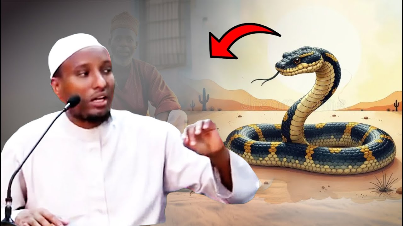 Dhacdo ! Maskii dib uso nooladay kadib mucjisadii nebi ciise 'csw' | Sh cabdirisaq xashi