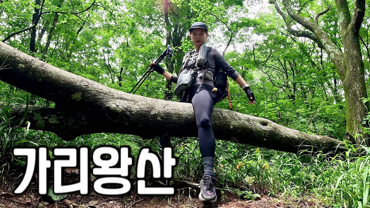 [Hiking] 강원 정선 가리왕산 나홀로 등산 | 한글 정상석으로 교체된 상봉⛰ 원시림이 살아있는 중봉⛰ | 회동리 코스 | 가리왕산 자연휴양림 | 산림청 100대명산