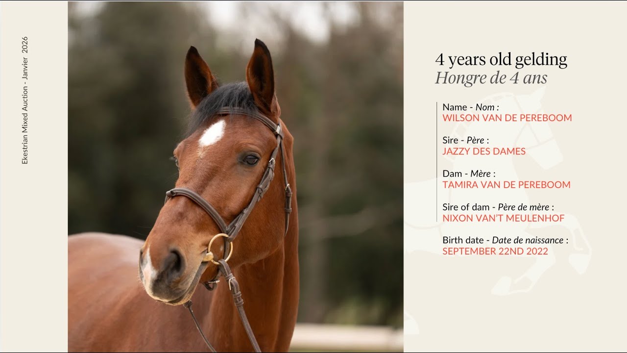 4YO - Wilson Van De Pereboom - Jazzy des dames x Nixon van’t meulenhof