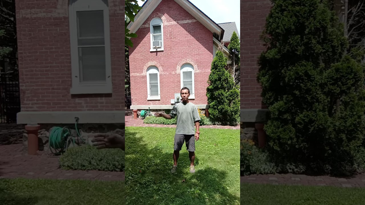 Reconnect with Your Body: Gentle Grounded Movement to Ease Tension
