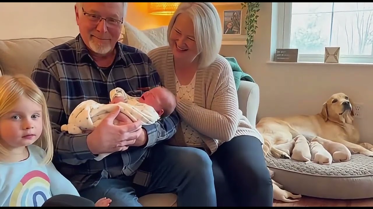 ❤️❤️Real-Life Moments of Kindness & Laughter (Family + Pets Compilation)❤️❤️
