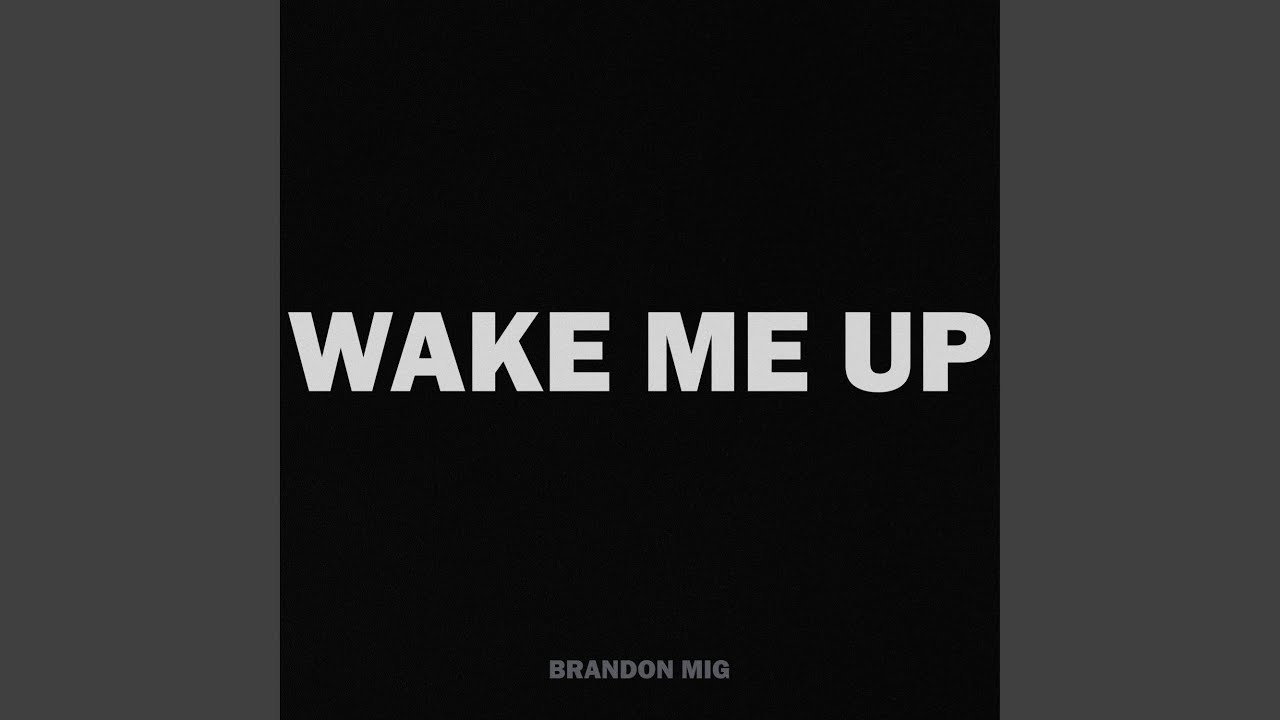 Wake Me Up