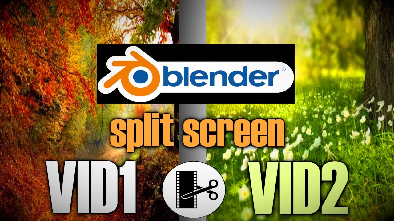 Blender 2.91.2 Video Editing - How to Render Two Videos Side By Side