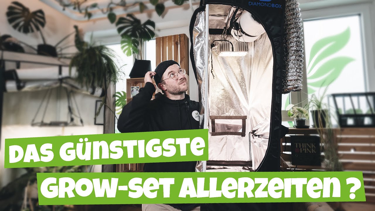 Mini Grow SET f&uuml;r 229&euro; | Anzucht oder Mutterpflanzen Set | Low Budget