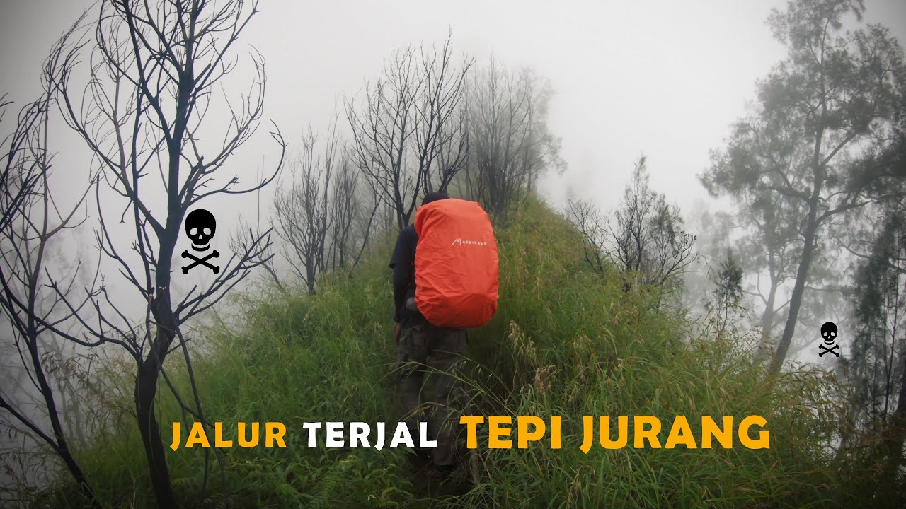 【Gunung Wilis】#1 -  OLENG DIKIT PINDAH ALAM. WILIS via Kare, Madiun.