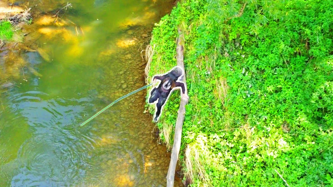 Fly Fishing In Slovakia- Best Dry Fly Fishing -www.flyfishing-slovakia.com #flyfishinginslovakia