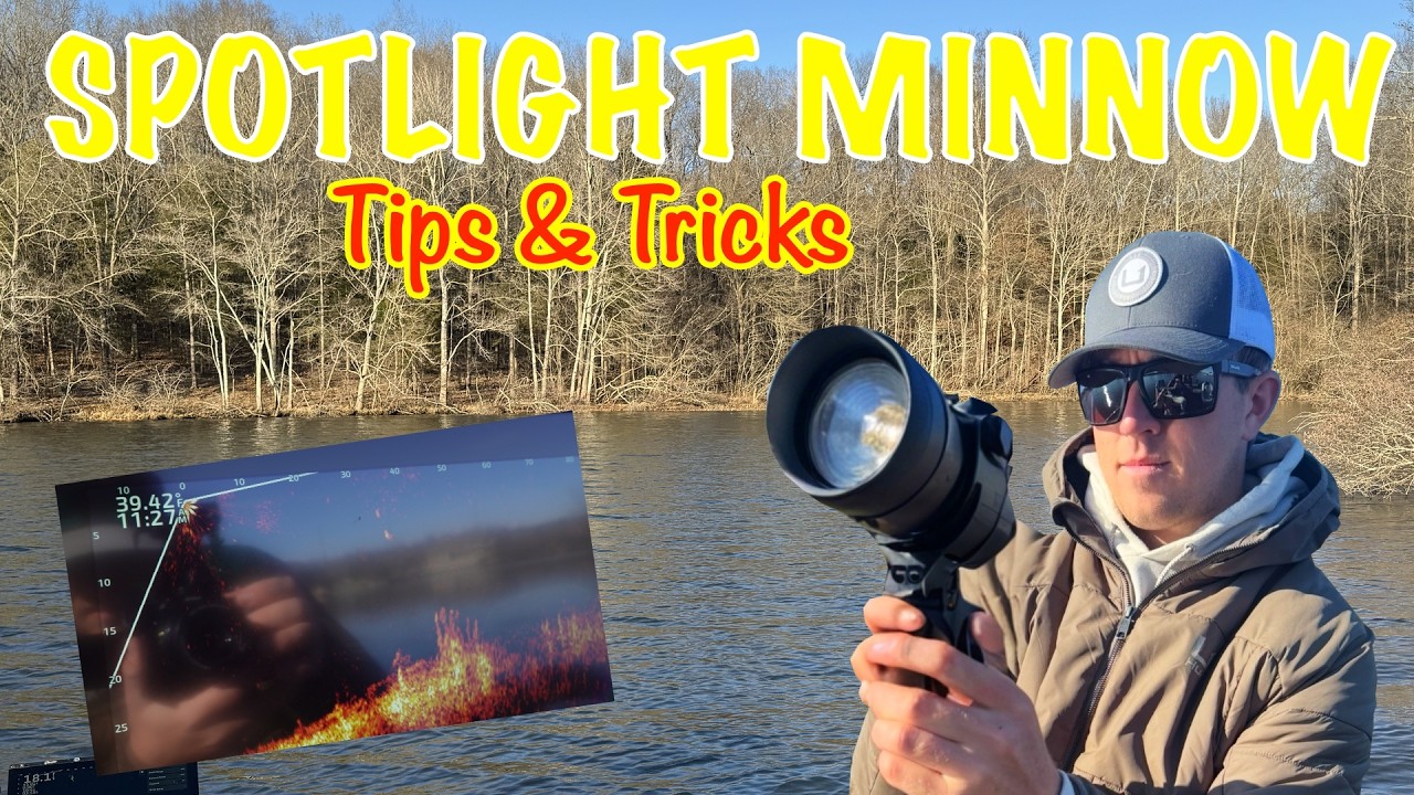 Spotlight Minnow Tips & Tricks