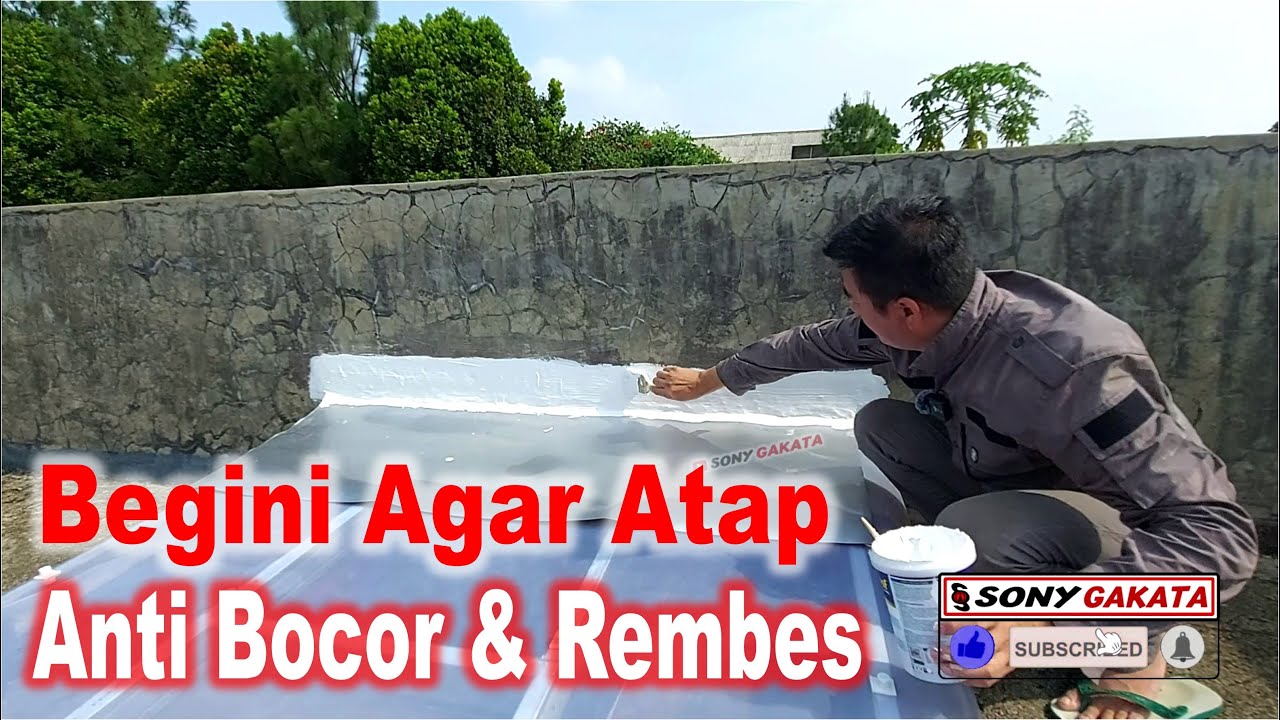 Atap Bocor Rembes Tembok Begini Cara Mencegahnya