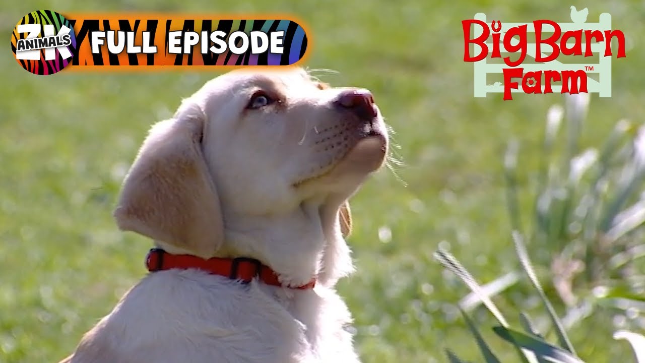 Big Barn Farm | Season 1, Episode 18 | Touch the Sky