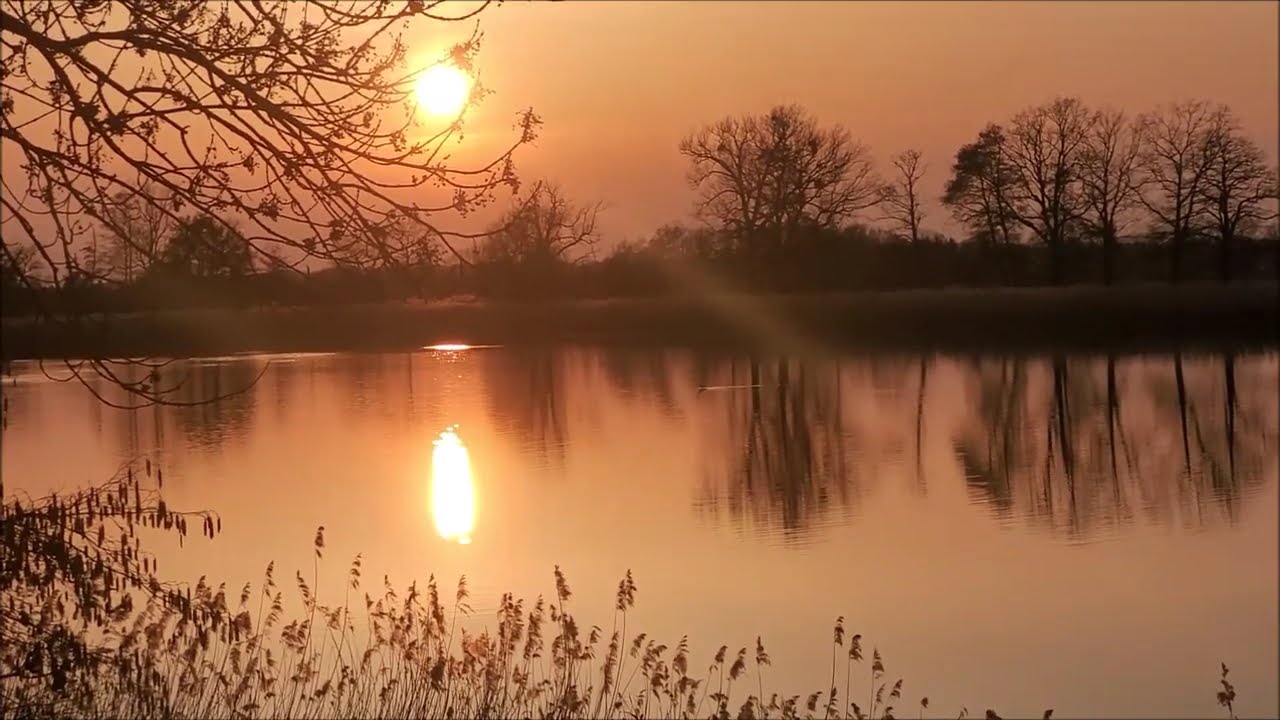 Sonnenuntergang im Biosphärenreservat - Warthaer Teiche - Oberlausitzer Heide- und Teichlandschaft
