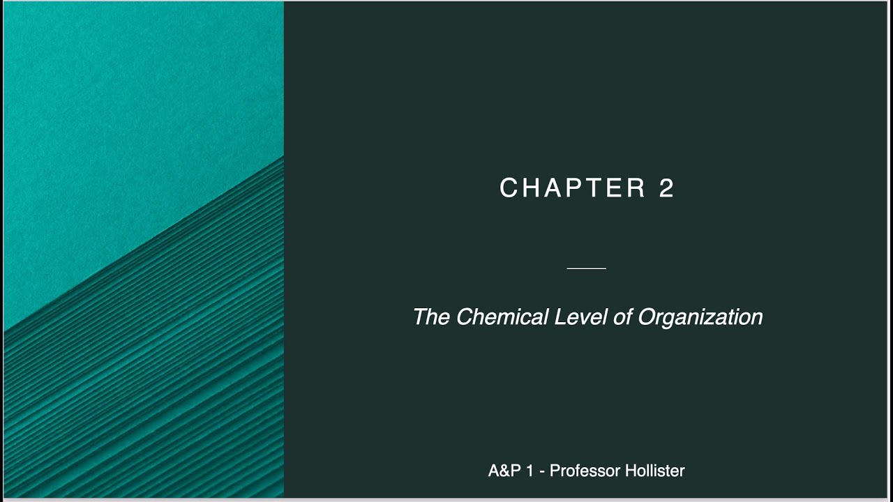 Chapter 2 - The Chemical Level of Organization