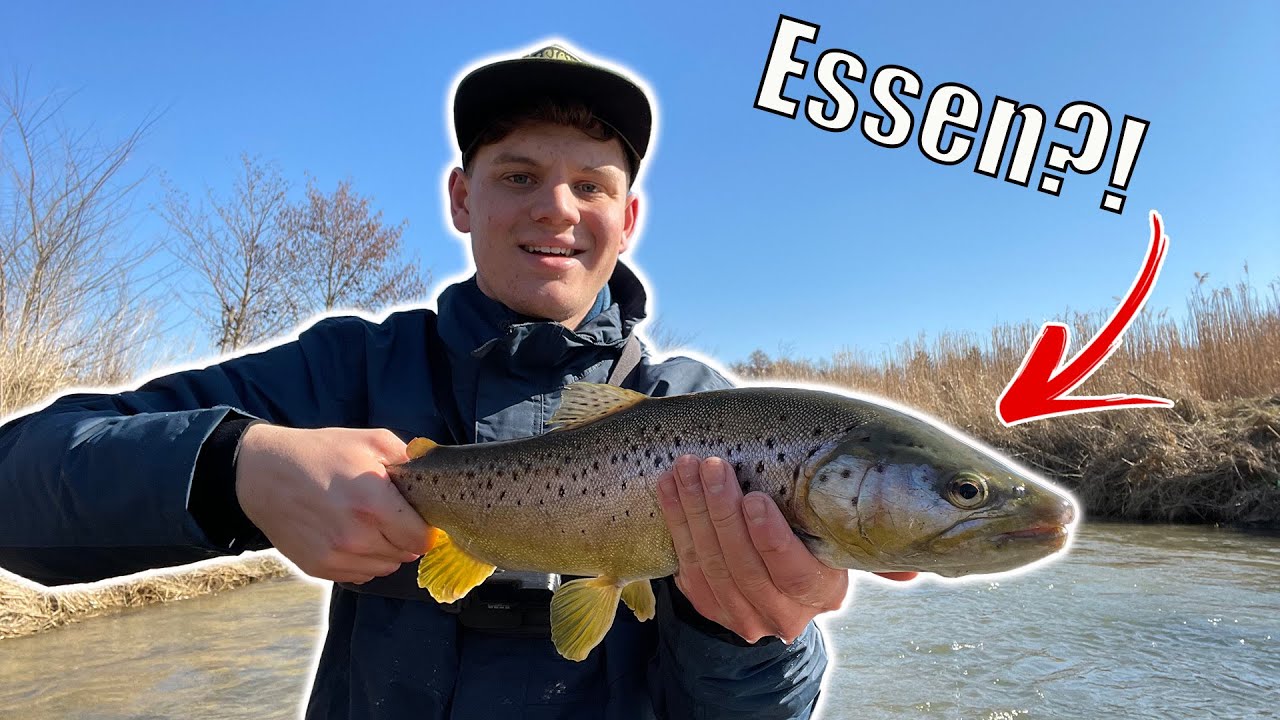 Fliegenfischen auf Forellen!! CATCH&COOK!!!