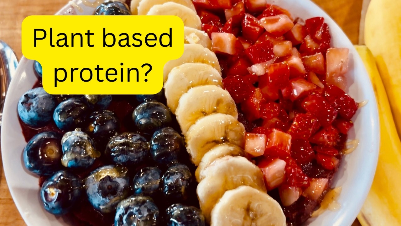 How much protein is needed on a plant based diet?