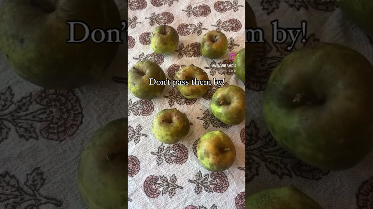 Those black spots on wild apples are usually safe to eat. Enjoy the harvest! #foraging