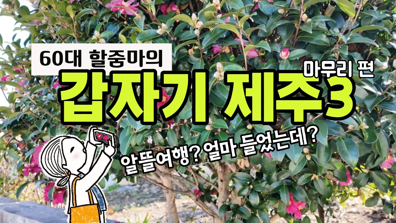 [잘 노는 60대] 이번 혼자여행의 만족 점수는요? 김밥에 대한 미련을 안고 귀가 비행기에 오른다. 여행이란 제자리로 돌아가는 일이라지.