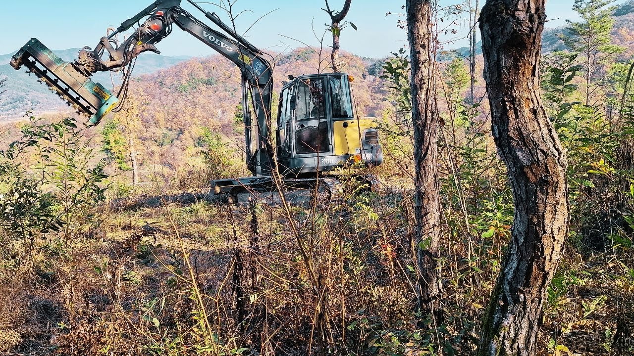 임야제초작업 //포크레인제초기 //