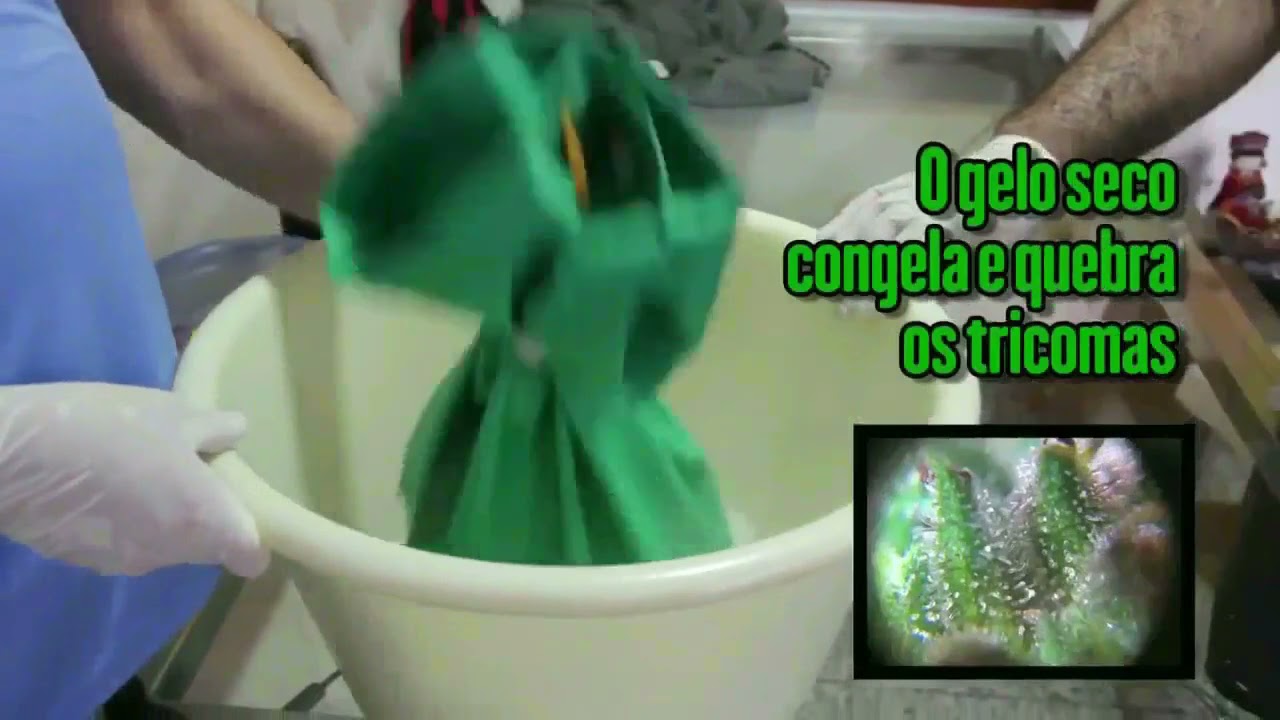 #COMO FAZER &Oacute;LEO MEDICINAL DE CANNABIS