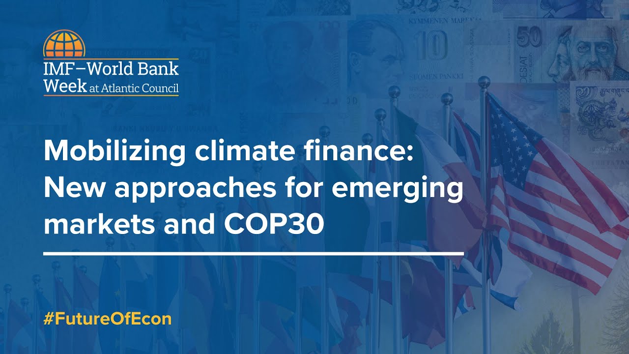 Mobilizing climate finance: New approaches for emerging markets and COP30
