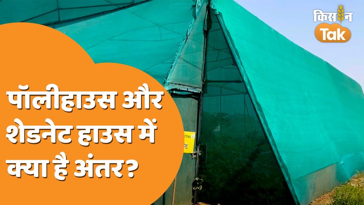 Polyhouse vs Shade net House: कितने अलग हैं पॉलीहाउस और शेड नेट हाउस? | Kisan Tak