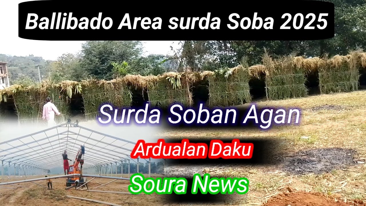 Surda soban Appsele ardualan agan daku//#surdasoba #souranews