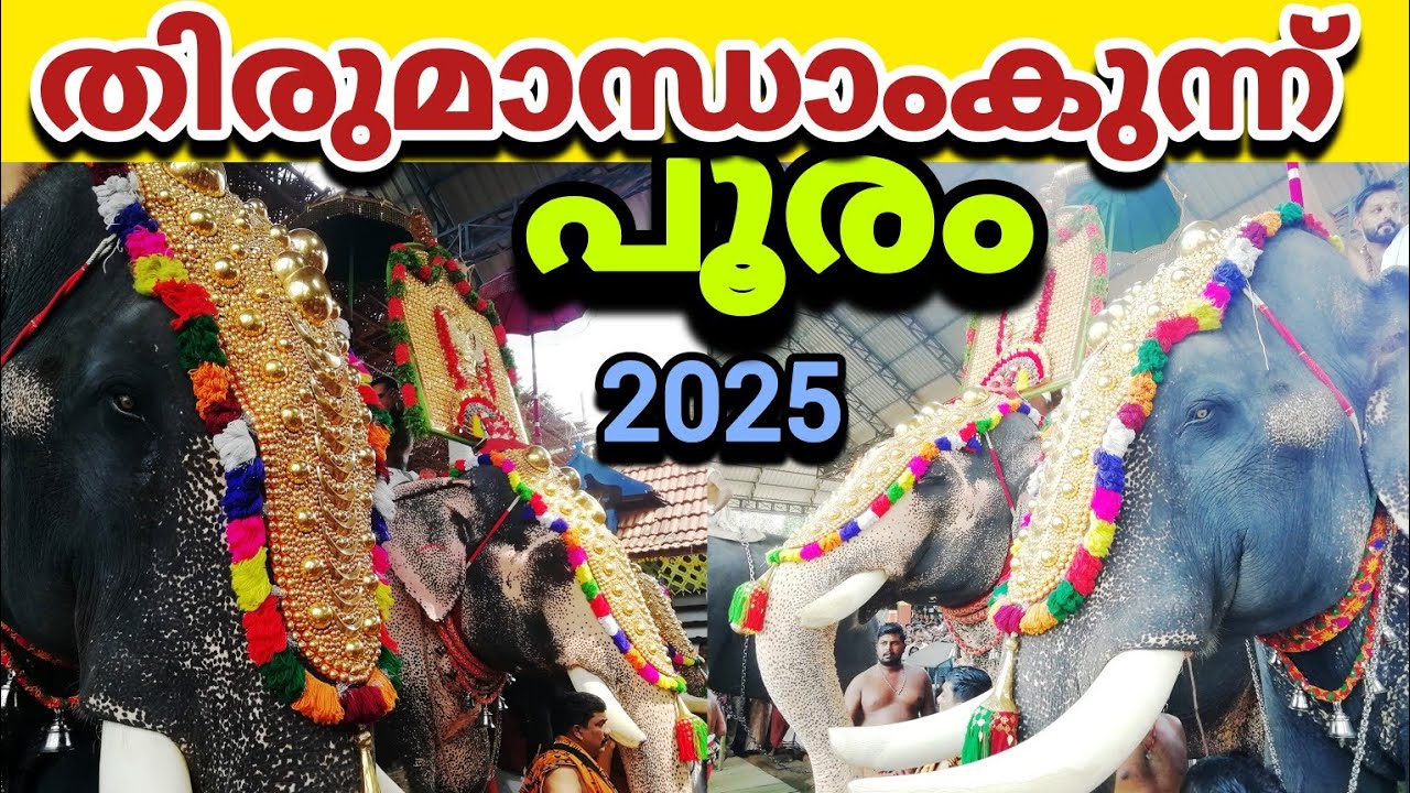 അങ്ങാടിപ്പുറം പൂരം 2025 | Thirumandhamkunnu pooram 2025