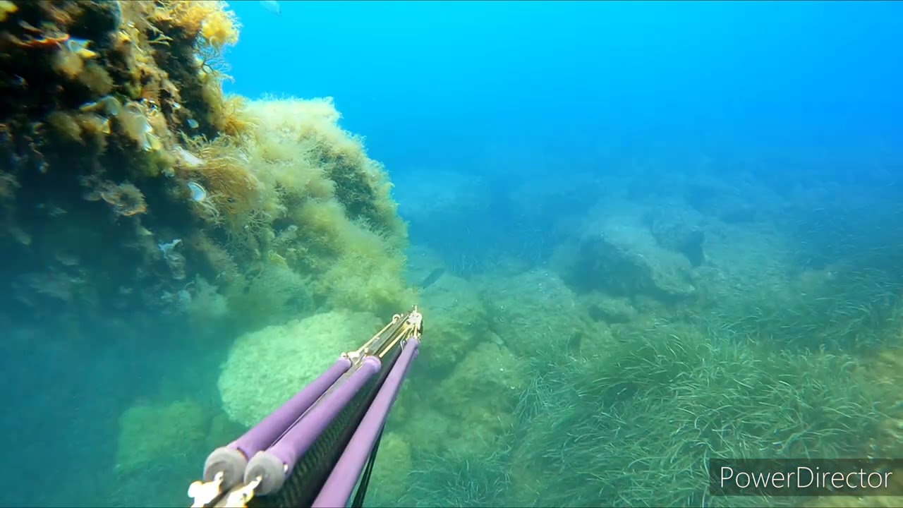 Pesca 3-4 Giugno 2022 Isola d'Elba