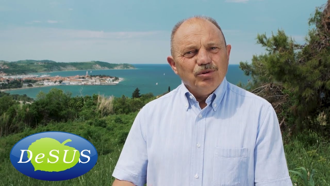 Branko Simonovič - Izola