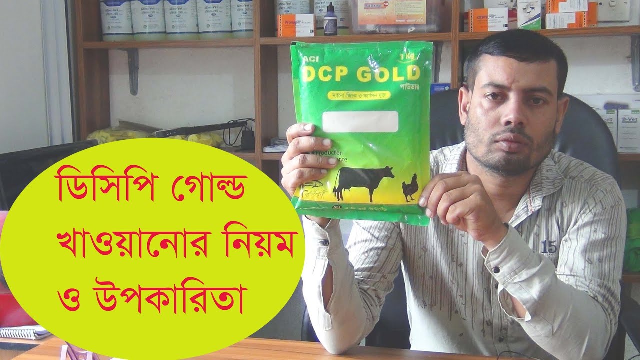 ডিসিপি গোল্ড খাওয়ানোর নিয়ম ও উপকারিতা