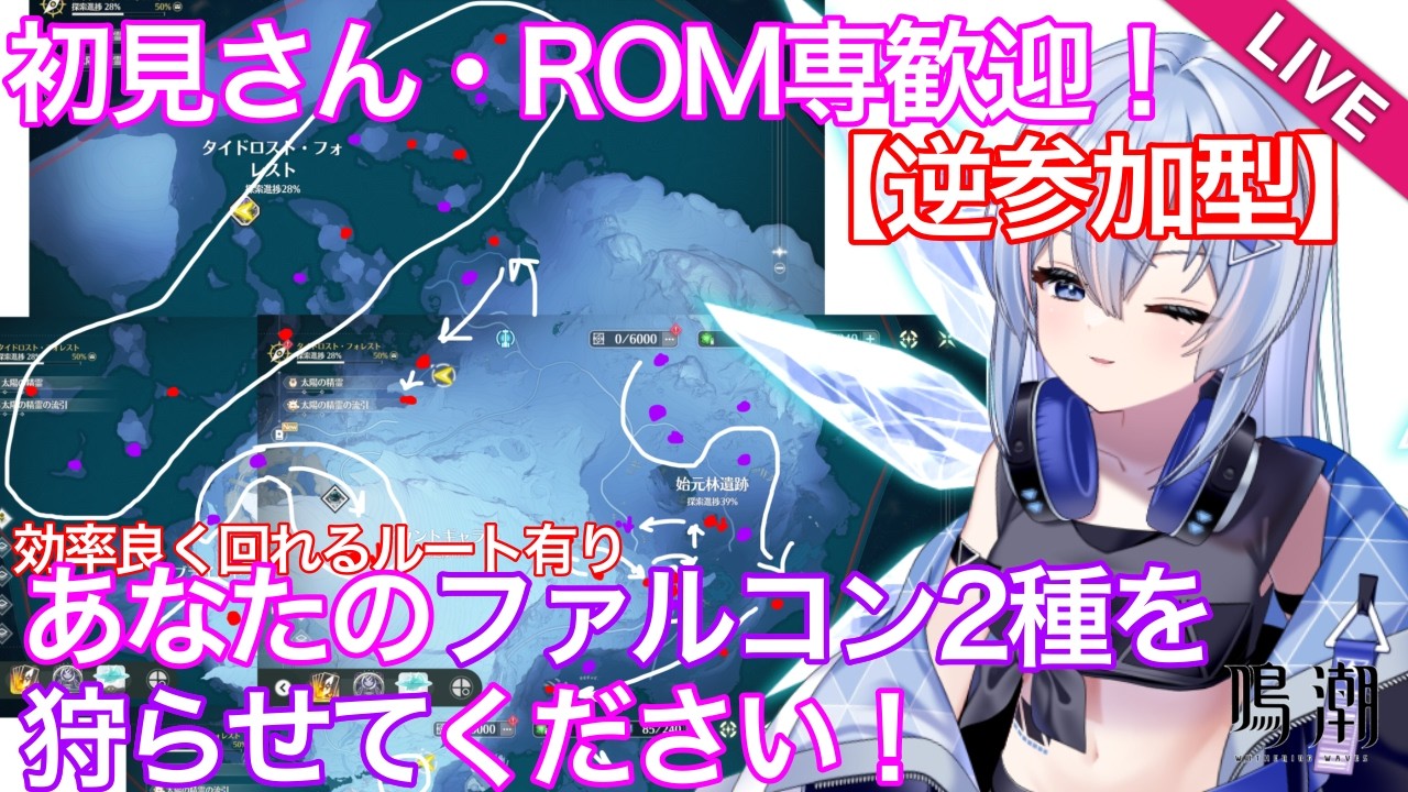 【#鳴潮 】【星声配布あり】【逆参加型】あなたのファルコンわけてください【#wutheringwaves 】【#ぶいきゃす杯 】【#PR 】