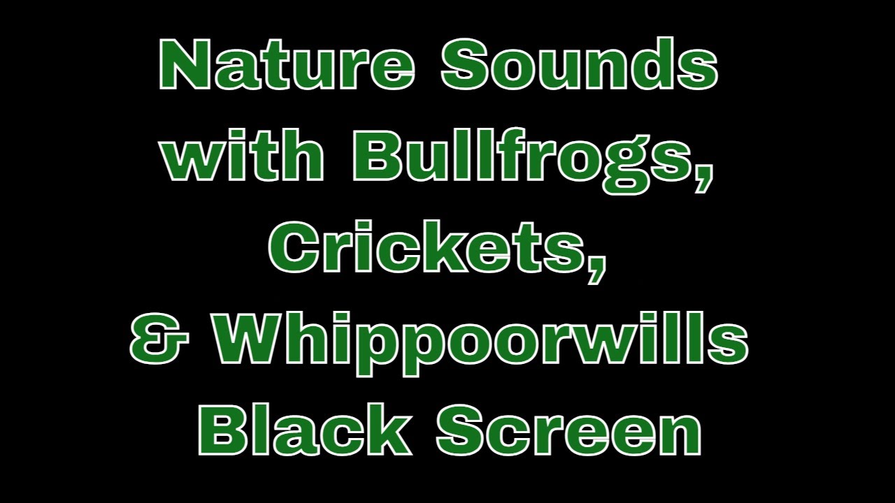 Nature Sounds with Bullfrogs, Crickets, & Whippoorwills | Relax | Sleep | Meditate | Focus | Ambient