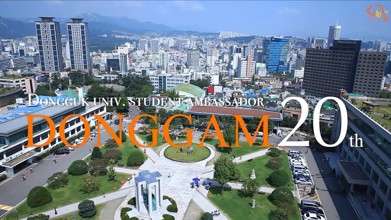 🍊동감 20기 소개 | 동국대학교 공식 홍보대사 동감