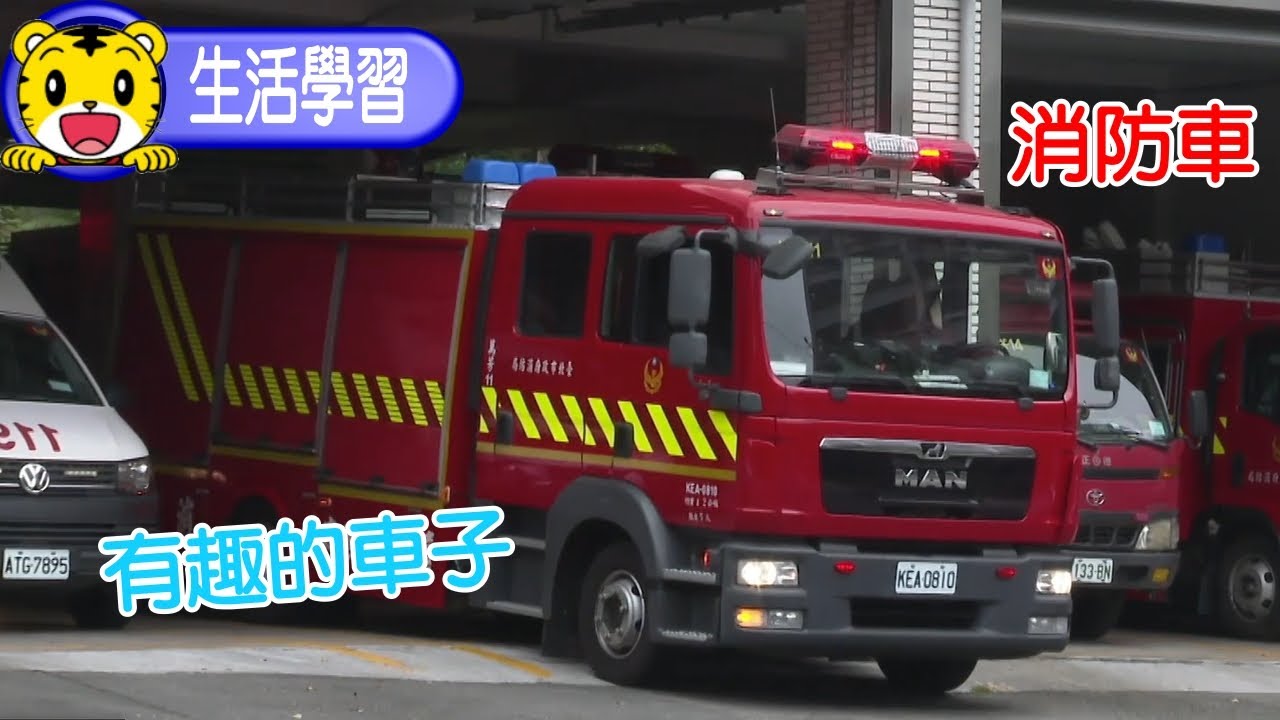 2025年2月號幼幼版【我的新發現】有趣的車子