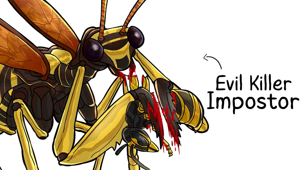 Why it Sucks To Be Born As a Wasp Mantidfly