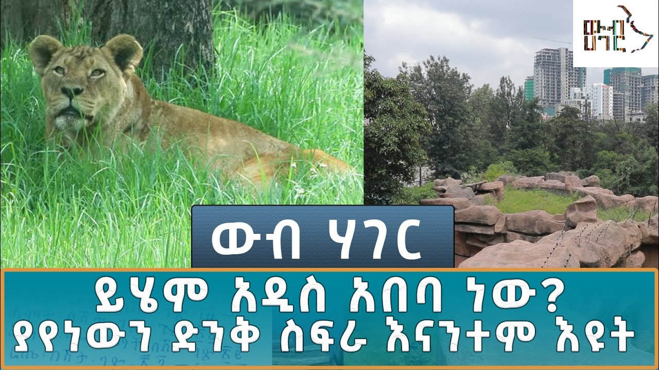 Ethiopia -  | ኢሳት  WEB HAGER  ይሄም አዲስ አበባ ነው? ያየነውን ድንቅ ስፍራ እናንተም እዩት    JULY 20 2024