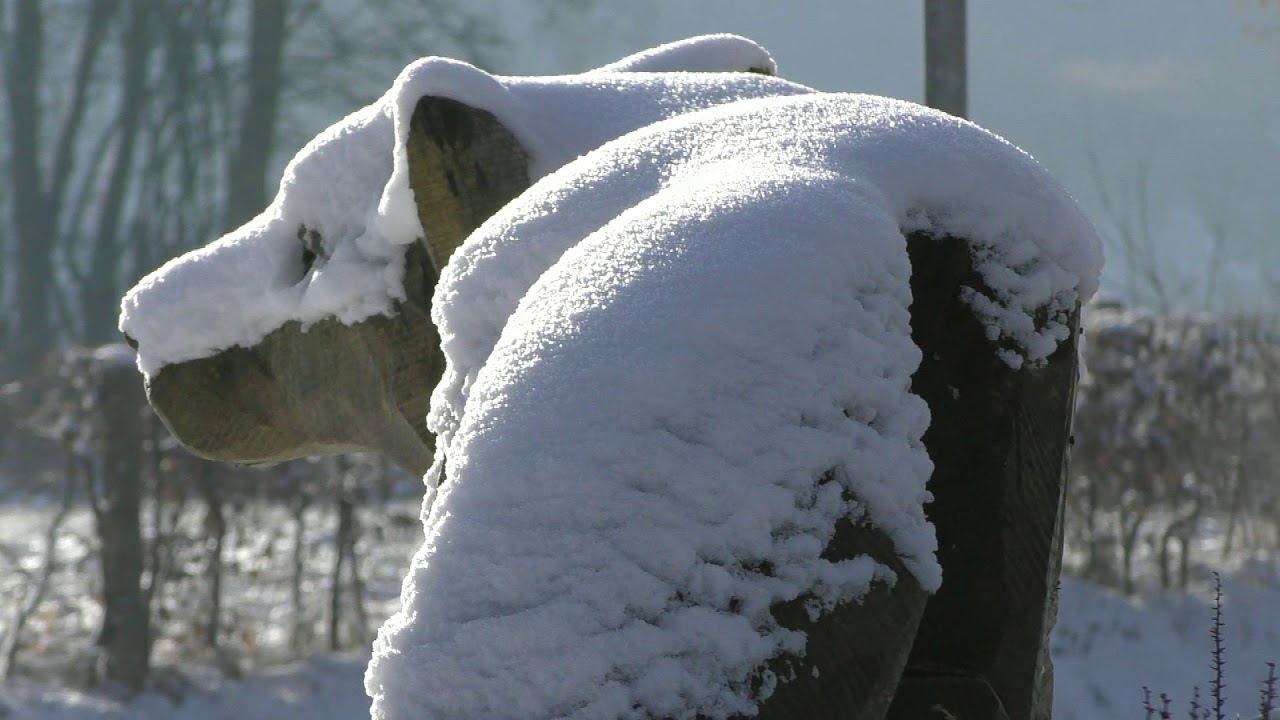 Winterwandeling Vijlen-Holset- Vaals