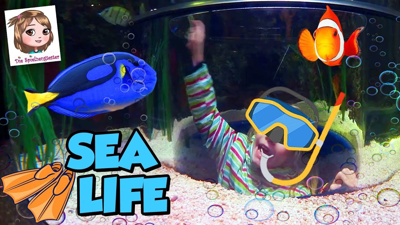 SEA LIFE AQUARIUM 🐟 Wir besuchen Nemo und Dorie 🐢 Hannah unter Wasser + Eis FAIL