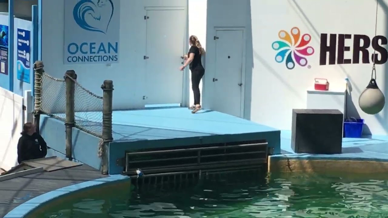 Water show at Hershey Park ￼