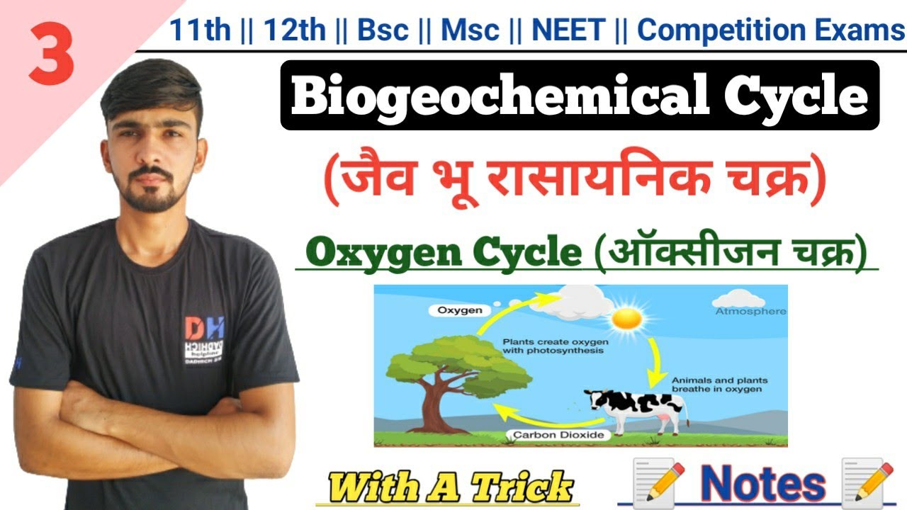 Oxygen Cycle In Hindi || Biogeochemical Cycle || Environmental Biology || By Dadhich Sir