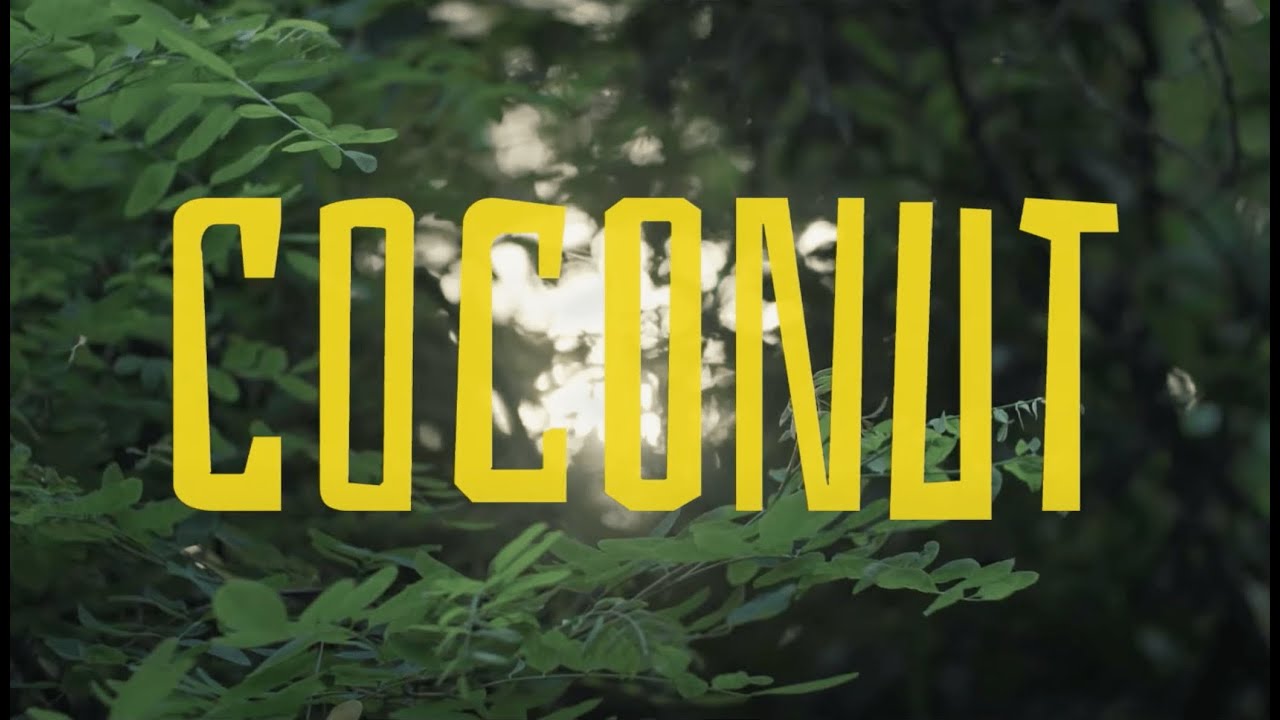 Astrid in Avantgarden - COCONUT (Official Music Video)