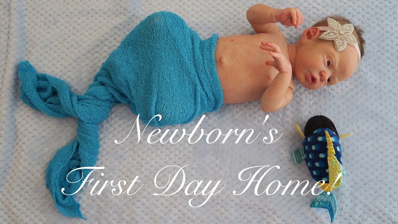 My Precious Little Gem- Episode 3, Newborn's First Day Home! (A Reborn Baby Roleplay Series)