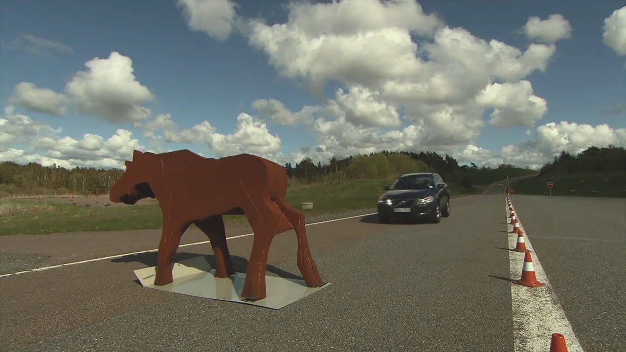 Volvo Cars New Brunswick | Large Animal Detection Safety Test