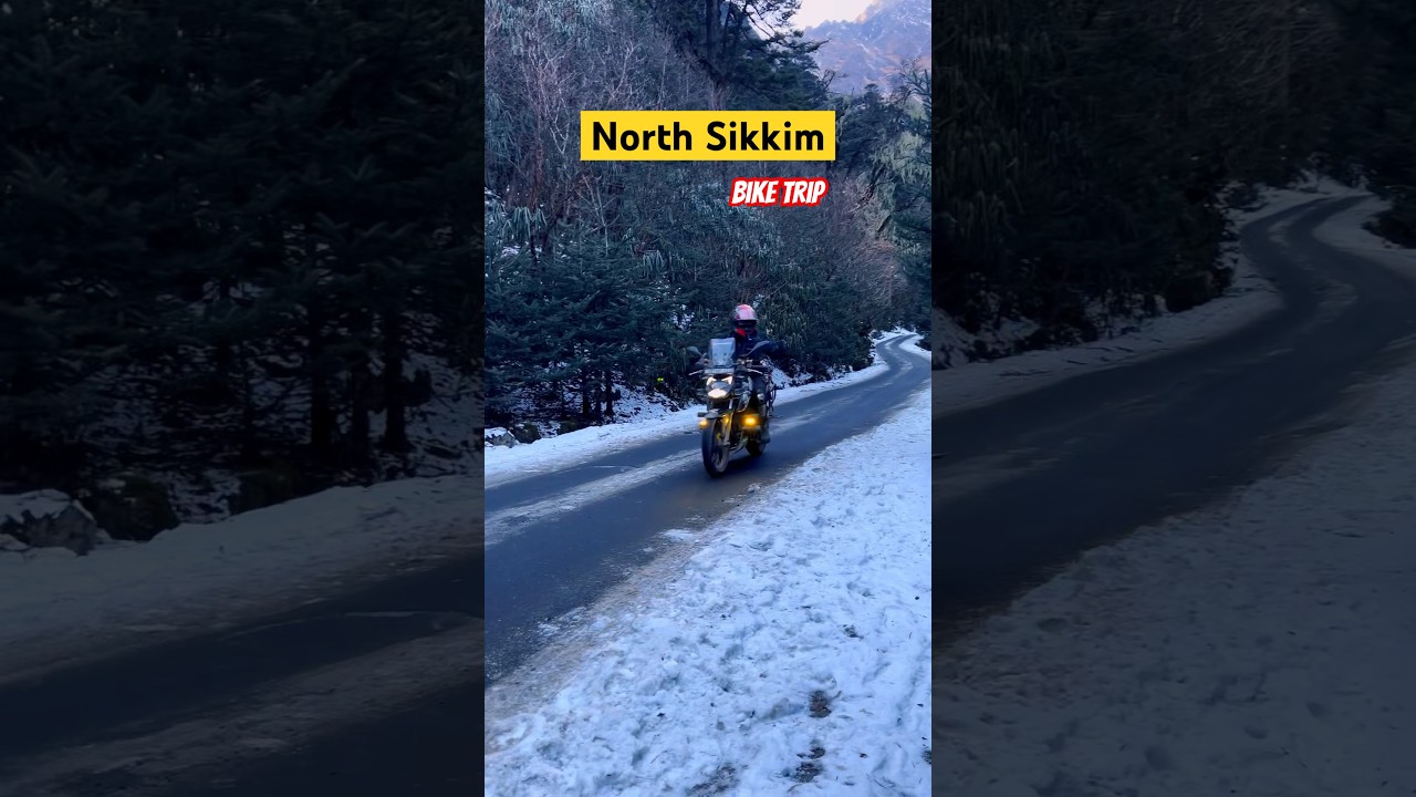 Heavy Snowfall In North Sikkim 2025 | Lacheng Lachung Bike Trip 🥶 #shorts