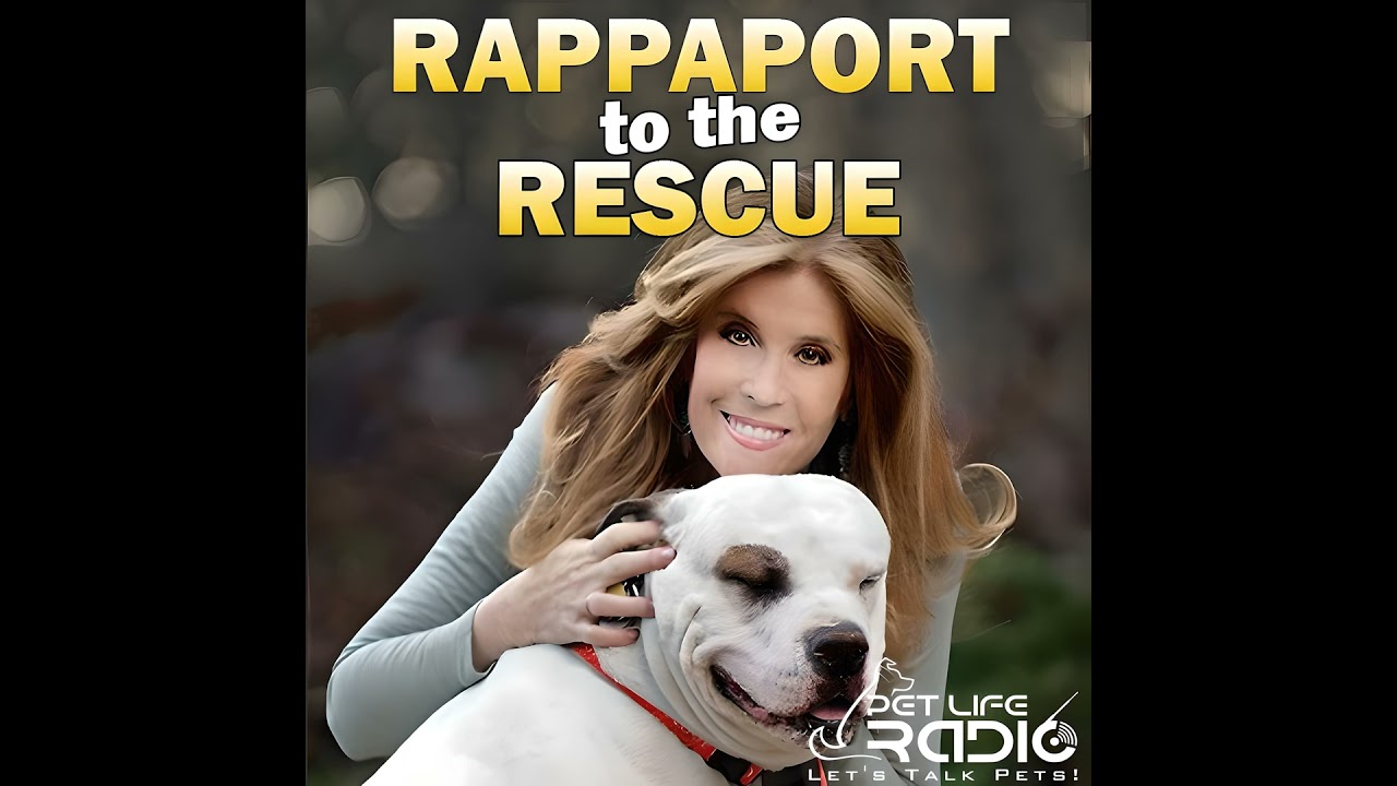 Rappaport To The Rescue - Paw 59:  Animal Trainer Extraordinaire Bill Berloni is the Man Behind t...