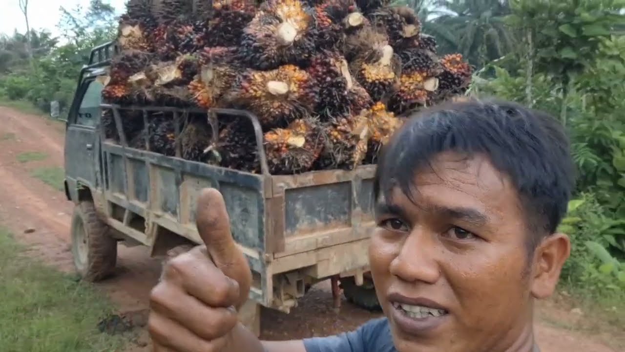 Muatan l300 seperti muatan coldisel 