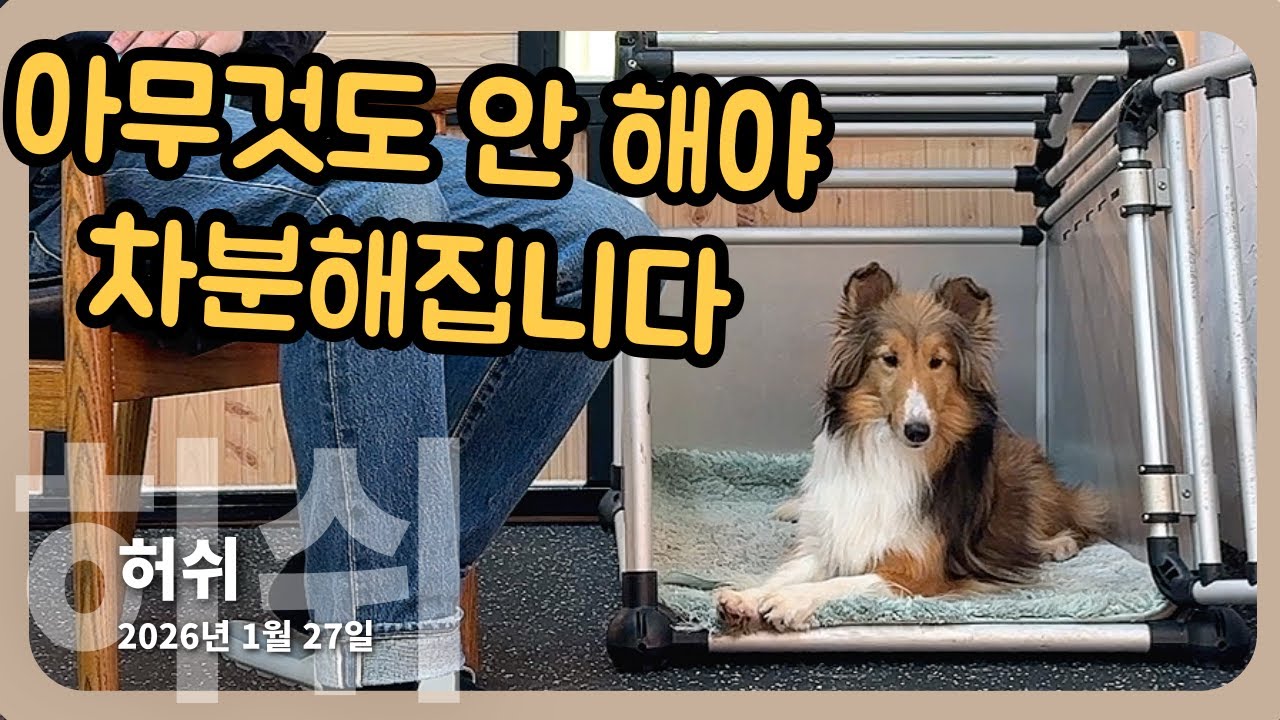 제발 아무것도 하지 마세요