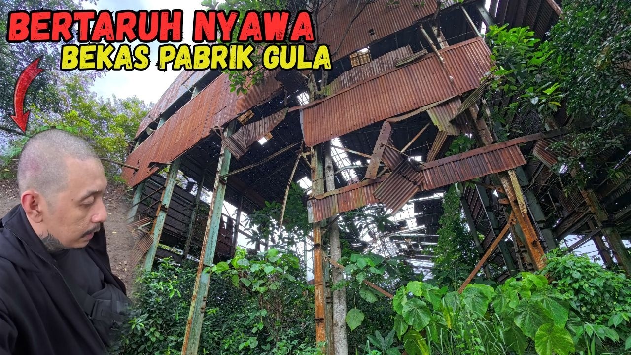 BERTARUH NYAWA DI BEKAS PABRIK GULA PTPN PELAIHARI | TERBENGKALAI 24 TAHUN