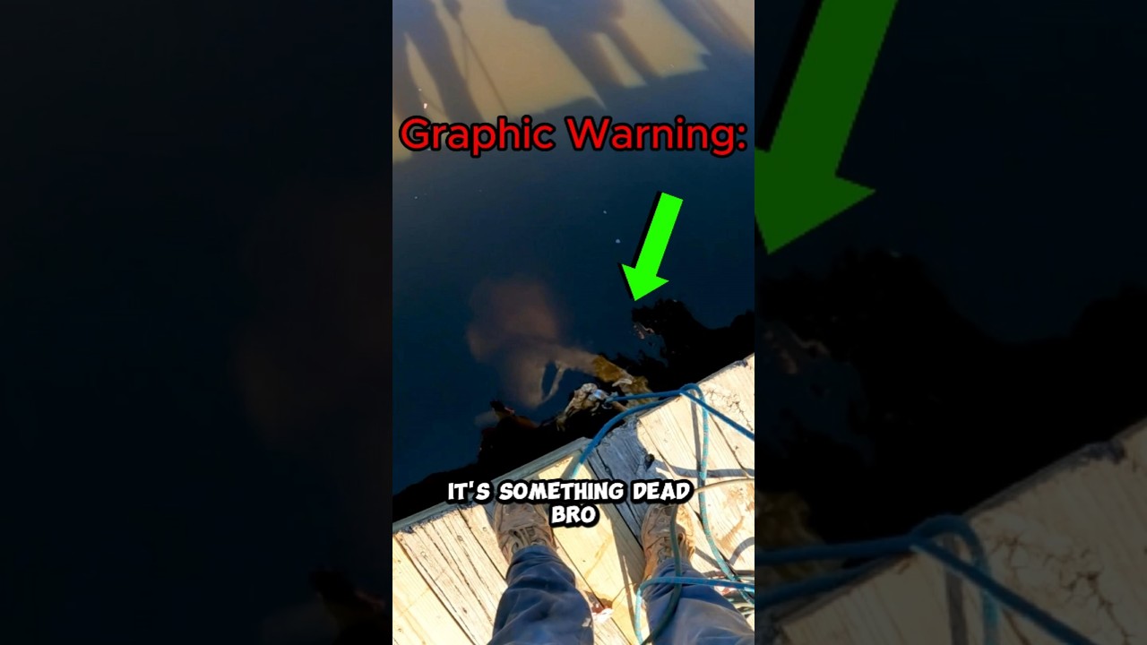I accidentally caught something dead with a magnet (magnet fishing)