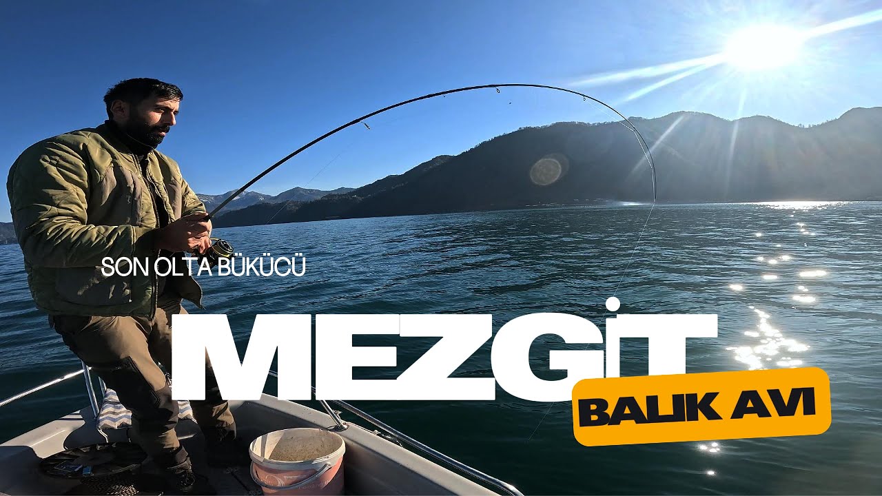 Mezgit avı-Karadeniz'in kocaman mezgitleri her biri lüfer boyunda