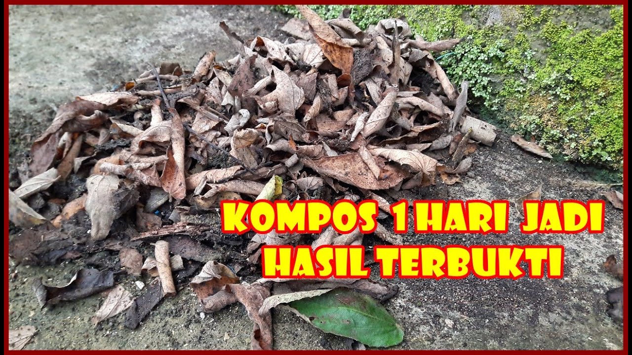 CARA MUDAH & CEPAT MEMBUAT KOMPOS DARI DEDAUNAN 1 HARI JADI | HOW TO MAKE COMPOST AT HOME