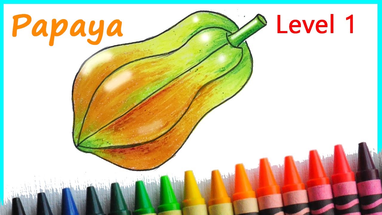 Easy way to Draw Papaya Step by Step for Level 1 Students